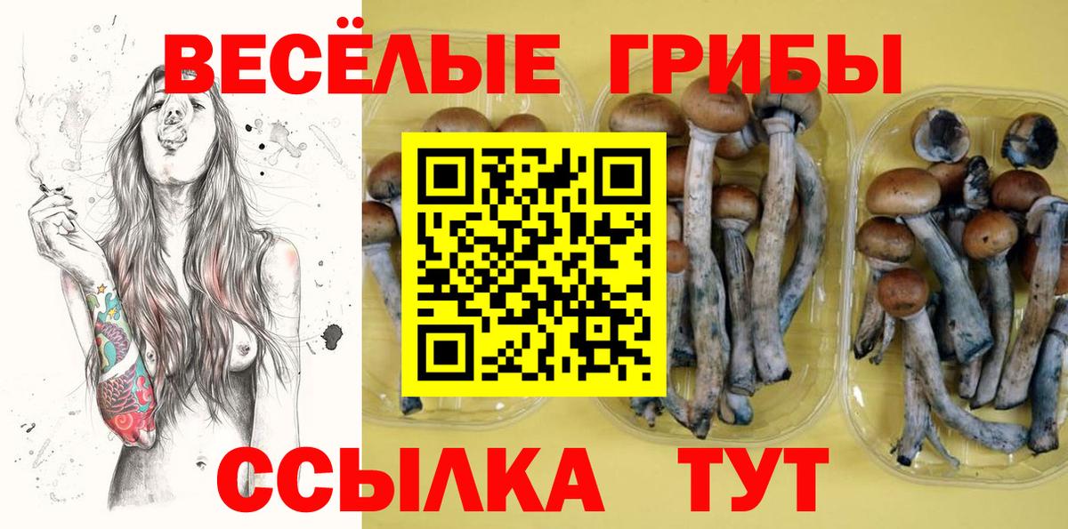 цены наркотик  Вход с VPN  Богородицк  Псилоцибиновые грибы Psilocybine cubensis  Псилоцибиновые грибы мицелий 