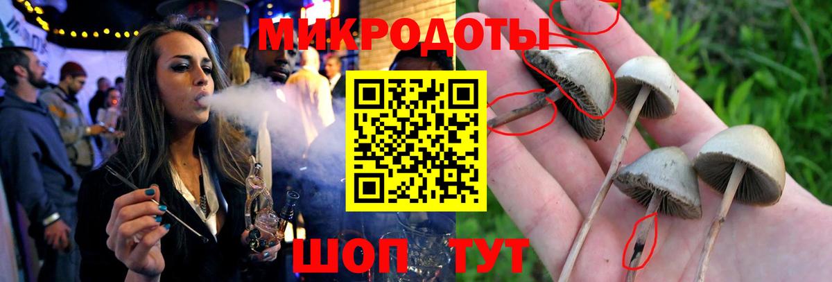 Галлюциногенные грибы Psilocybine cubensis Богородицк